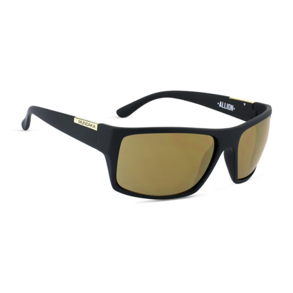 Allion Matte Black